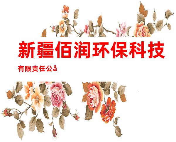 新疆佰润环保科技有限责任公司